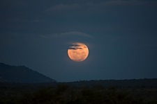 African-Moon.jpg