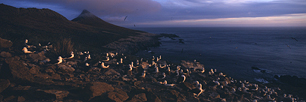 Albatross-Sunset.jpg