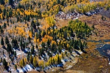 Autumn-Aerial-Brushstroke.jpg