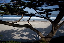 Carmel-Cypress-Beach.jpg