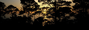 Carmel-Highlands-Sunset.jpg