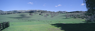 Carmel-Valley-Green-Pastures.jpg