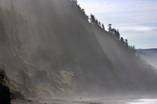 Coastal-Veil.jpg