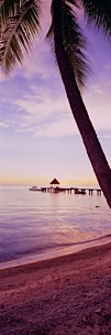 Coral-Lagoon-Sunset.jpg