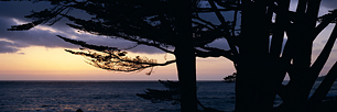 Cypress-Sunset.jpg