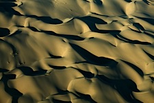 Desert-Contrast.jpg