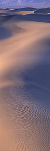 Elegant-Dunes.jpg