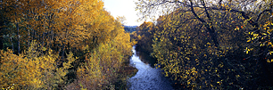 Fall-River-Color.jpg