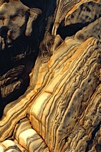 Lobos-Detail.jpg