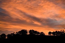 Mariposa-Ranch-Sunset.jpg