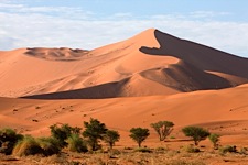 Namibian-Curves.jpg