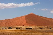 Namibian-Splendor.jpg