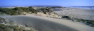 Ocean-Dunes.jpg
