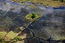 Okavango-Passages.jpg
