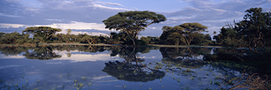 Okavango-Tranquility.jpg