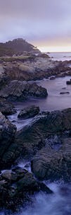 Point-Lobos-Vertical.jpg