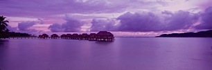 Polynesian-Huts-in-Violet.jpg