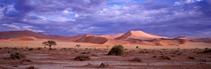 Radiant-Namibia.jpg