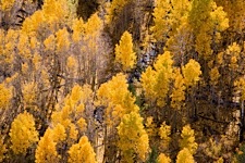 Sierra-Autumn-Aerial-Intimate.jpg