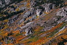 Sierra-Autumn-Color.jpg