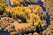 Sierra-Autumn-Riverbend.jpg