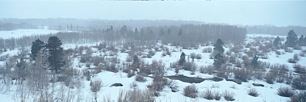 Sierra-Meadows-Snowstorm.jpg