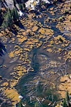 Sierra-Waterway-Texture.jpg
