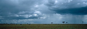 Stormy-African-Skies.jpg