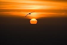 Sunset-on-Albatross-Island.jpg
