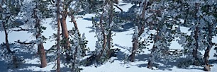 Tahoe-Detail-in-Snow.jpg
