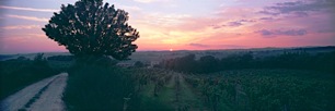 Tuscan-Sunset.jpg