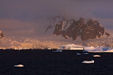 Untamed-Antarctica.jpg