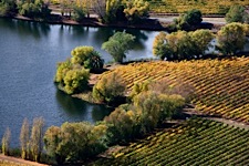 Vineyard-Lake.jpg