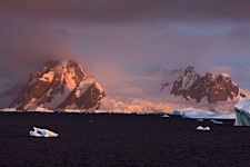 Wild-Antarctica.jpg