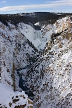Yellowstone-Snowscape.jpg