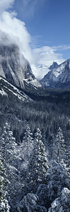 Yosemite-Awakening.jpg