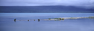 Alaska-Family-Fishing.jpg