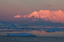 Antarctic-Glow.jpg