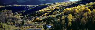 Aspen-Valley.jpg