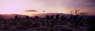 Borrego-Sunset.jpg