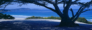 Carmel-Beach-Sunrise.jpg