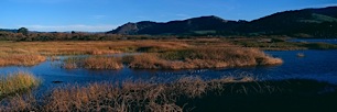 Carmel-River-Beach-Estuary.jpg