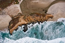 Coastal-Sculpture-Aerial.jpg