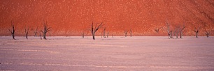 Deadvlei-Light.jpg