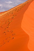 Dune-Radiance.jpg