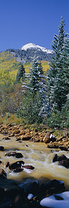 Earth-River-Aspens.jpg