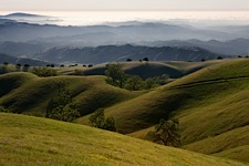 Green-California.jpg