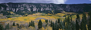 Hidden-Pass-Aspens.jpg