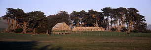 Historic-Coastal-Homestead.jpg