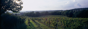 Home-Amongst-Tuscan-Vineyards.jpg